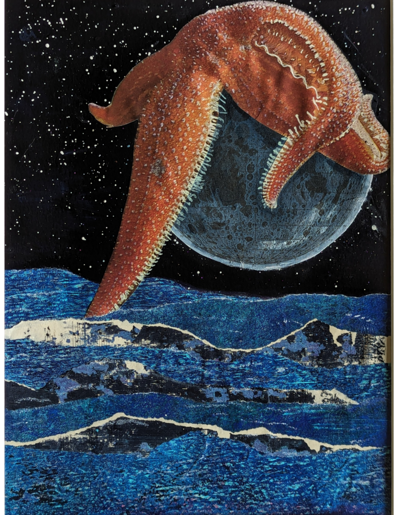 A starfish clinging to a moon in a collage of space and mountains.